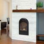 Dual Fuel Vent Free Fireplace Insert - 15,000 BT-2