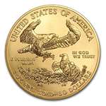 2017 1 Oz Gold American Eagle Coin BU 1 OZ Brill-4