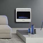 Dual Fuel Vent Free Blue Flame Heater - 30,000 B-4