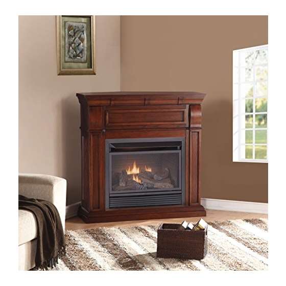 Dual Fuel Vent Free Fireplace - 26,000 BTU, Remo-4