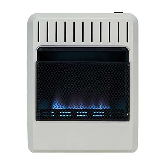 Dual Fuel Vent Free Blue Flame Heater - 20,000 B-2