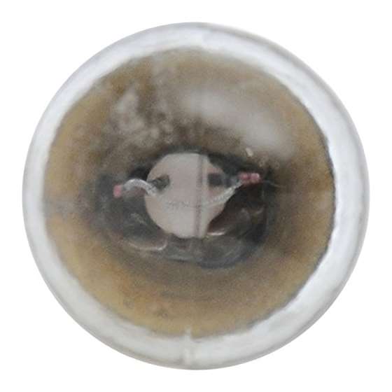 5007 Basic Miniature Bulb, Contains 2 Bulbs-4
