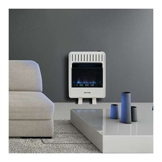 Dual Fuel Vent Free Blue Flame Heater - 20,000 B-4