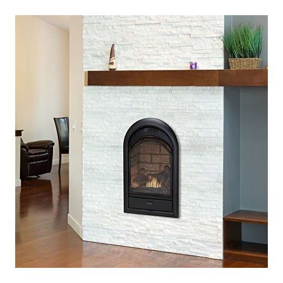 Dual Fuel Vent Free Fireplace Insert - 15,000 BT-2