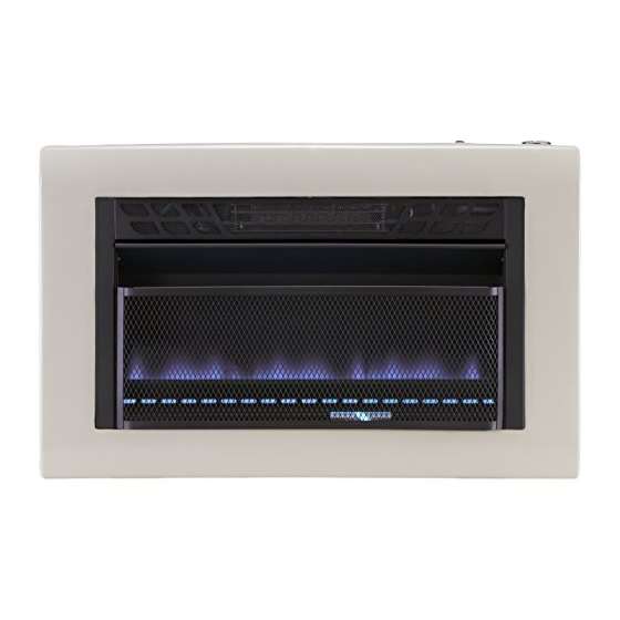 Dual Fuel Vent Free Blue Flame Heater - 30,000 B-2