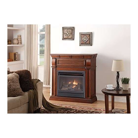 Dual Fuel Vent Free Fireplace - 26,000 BTU, Remo-2