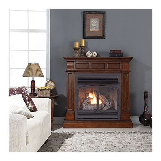 Dual Fuel Vent Free Gas Fireplace - 32,000 BTU,-4