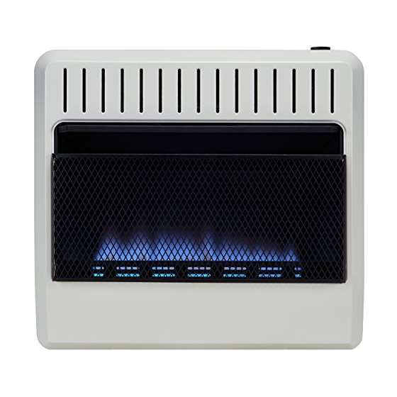 Dual Fuel Vent Free Blue Flame Heater - 30,000 B-2