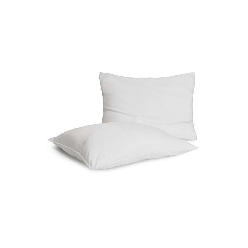 Hypoallergenic Bamboo Down Alternative Pillow Giov