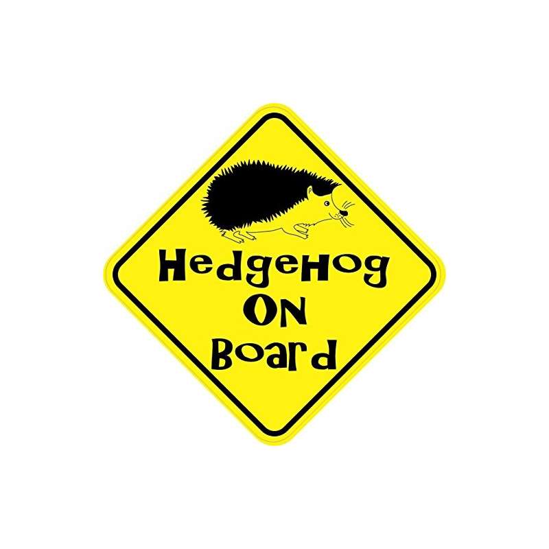 5In X 5In Hedgehog On Board Hedgehog Sticker Decal