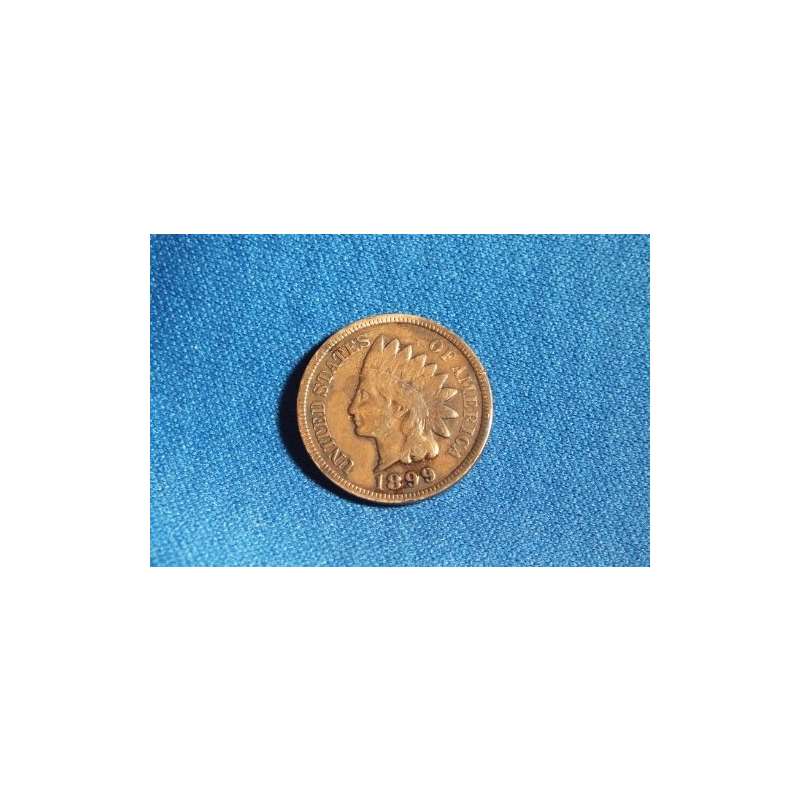 1899 U.S. Indian Head Cent By Penny